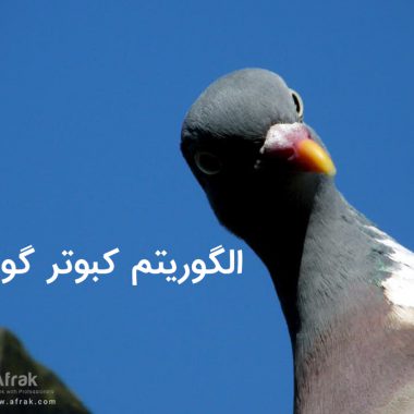 الگوریتم کبوتر گوگل