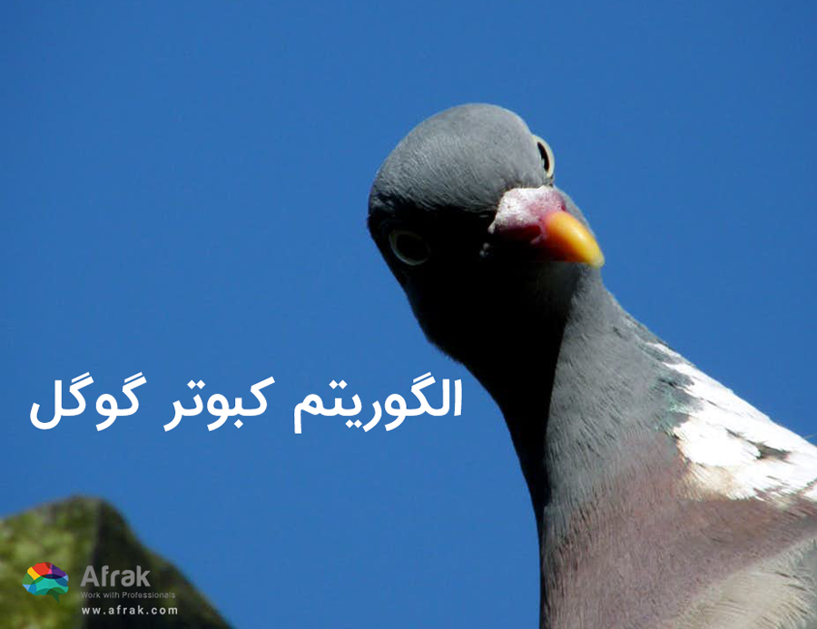 الگوریتم کبوتر گوگل