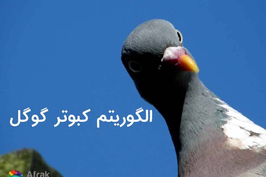 الگوریتم کبوتر گوگل